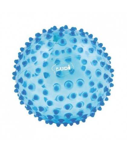 LUDI  BALLE SENSORIELLE BLEUE  LU2795BL